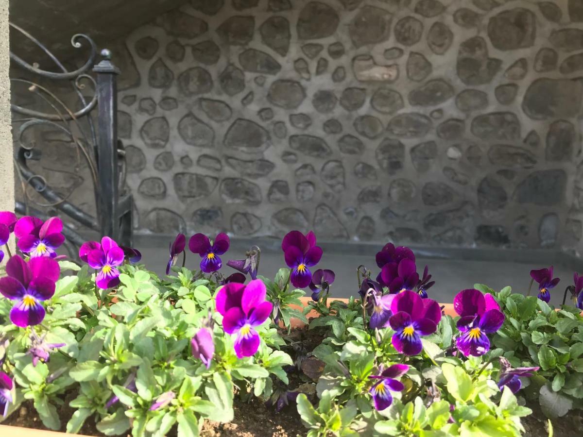 Christy Hotel Goris Exterior photo